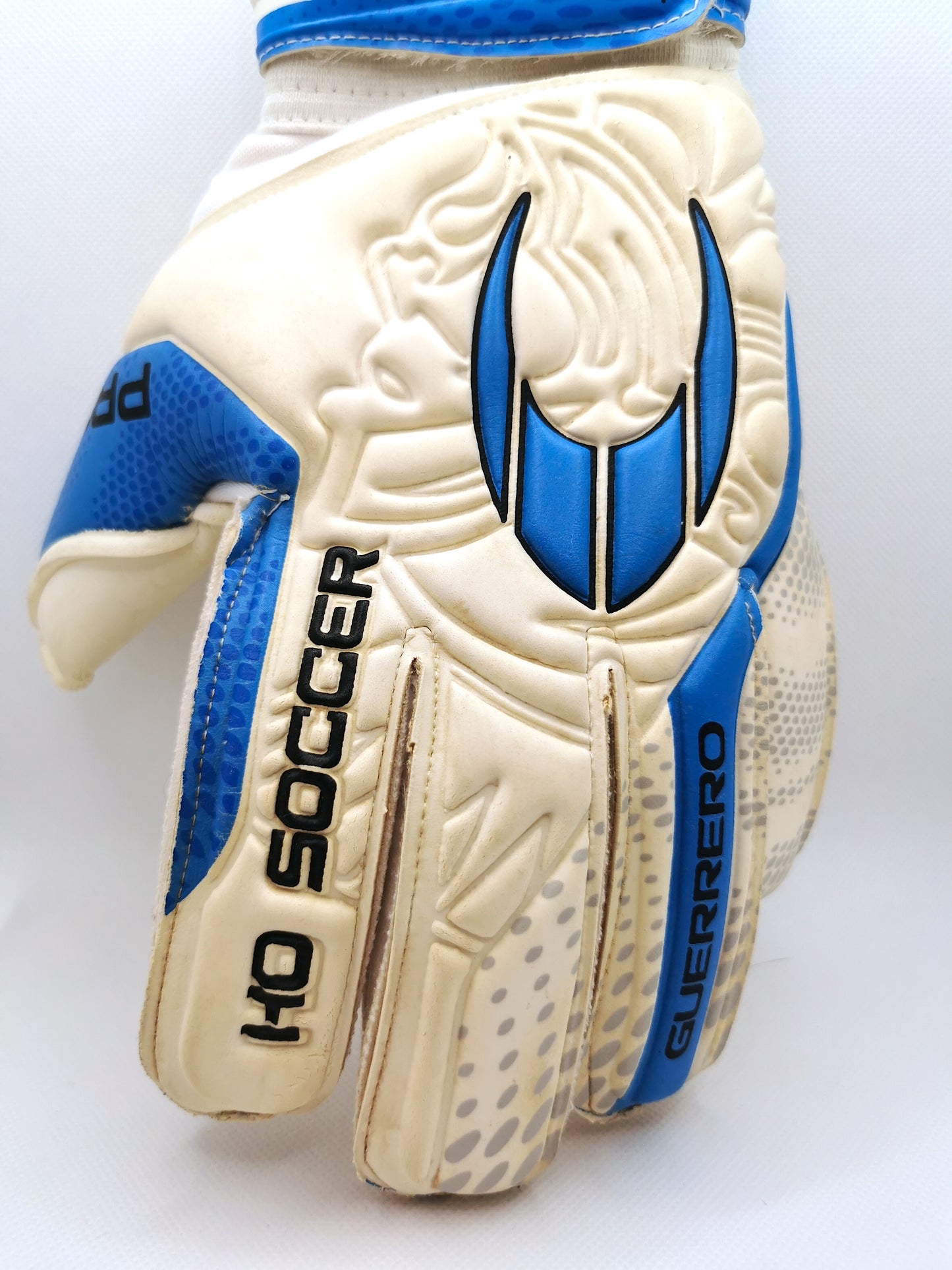 Joel Robles Match Worn Glove